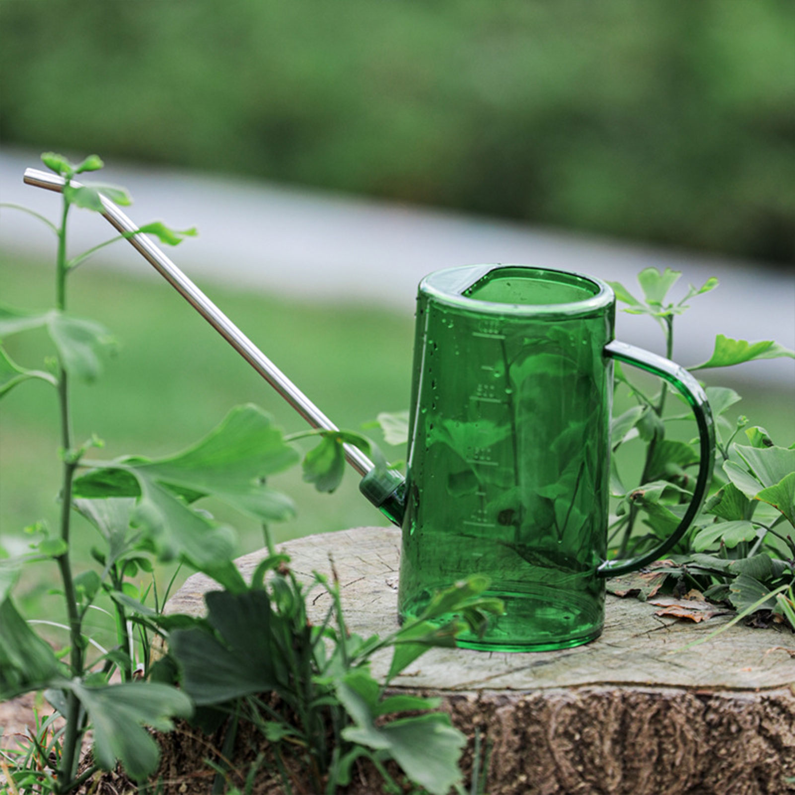 Gardening Tools For Beginners - Konewka do roślin doniczkowych 1L/1.5L, przezroczysta,
