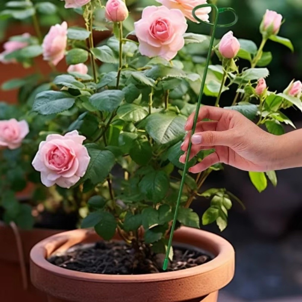 Nowa Metalowa Rama Podtrzymują – Gardening Tools For Beginners recenzja i cena