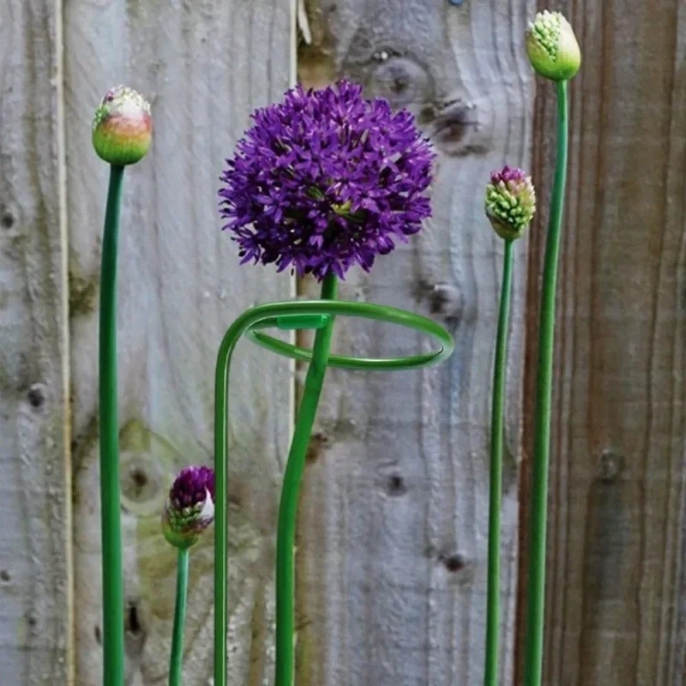 Nowa Metalowa Rama Podtrzymują – Gardening Tools For Beginners recenzja i cena