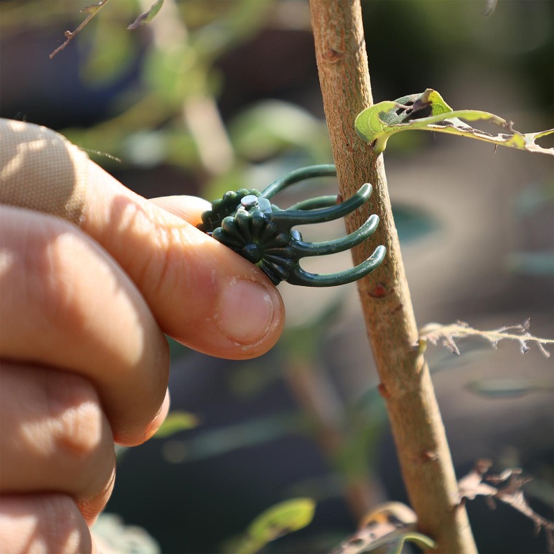 Hurtowe mini klipsy do podtrzy – Gardening Tools Wholesale recenzja i cena