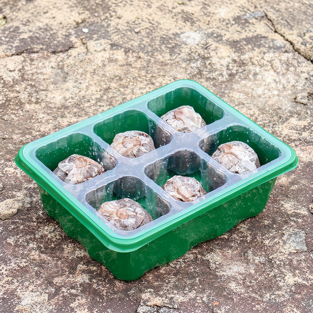Pojemnik do sadzenia z regulow – Propagation Tray Dome recenzja i cena