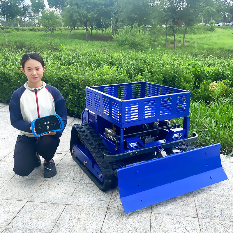 Spersonalizowana kosiarka zdal – Gardening Tools China recenzja i cena