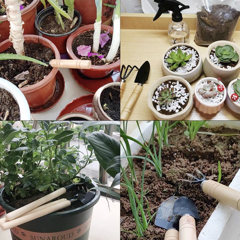 3 szt./1 zestaw Mini narzędzia – Gardening Tools Wholesale recenzja i cena