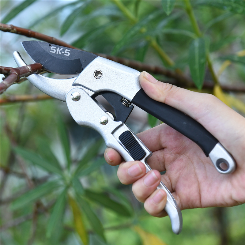 Nowy 20cm grzechotka do przyci – Gardening Tools For Beginners recenzja i cena
