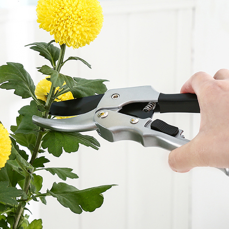 Nowy 20cm grzechotka do przyci – Gardening Tools For Beginners recenzja i cena